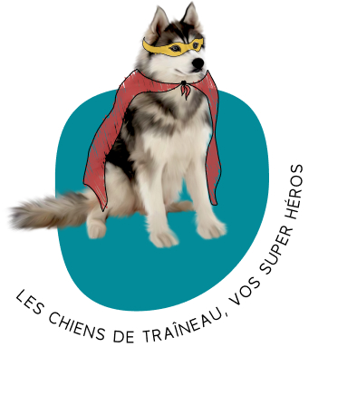 Les chiens de traîneau, vos super héros